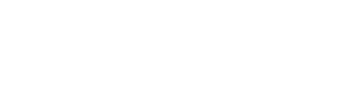 BDM Bet Casino Logo